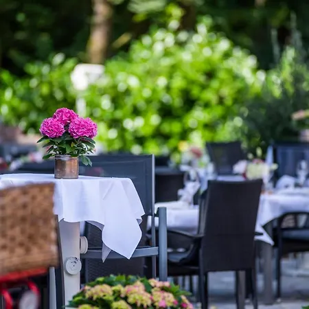 Hotel Wiesengrund Business & Boutique Dinklage