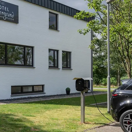 Hotel Wiesengrund Business&boutique 3*