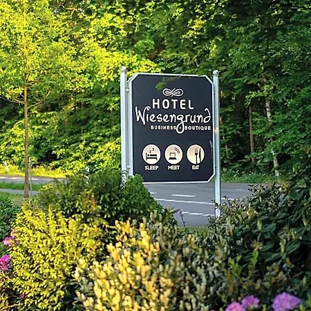 Wiesengrund Business & Boutique 3* دينكلاغه