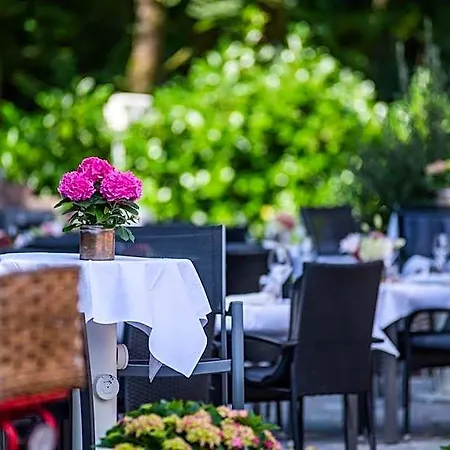 فندق Wiesengrund Business & Boutique دينكلاغه